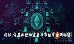 揭秘：谁在操控加密货币市场背后的秘密