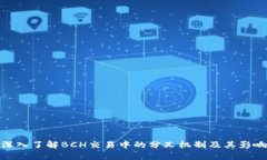 深入了解BCH交易中的分叉机制及其影响
